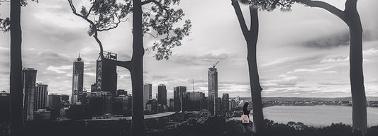 "Walking On A Dream" - Kings Park